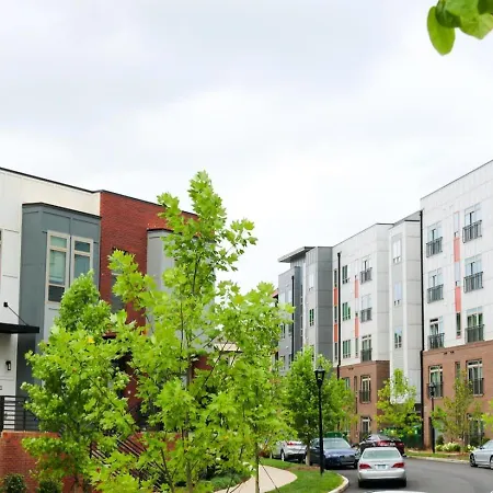 Modern 1Bd Studio Apt In Plaza Midwood With Community Pool Appartement